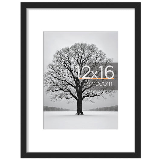 Sindcom 12 x 16 Picture Frame, Black,Gallery Wall Frame