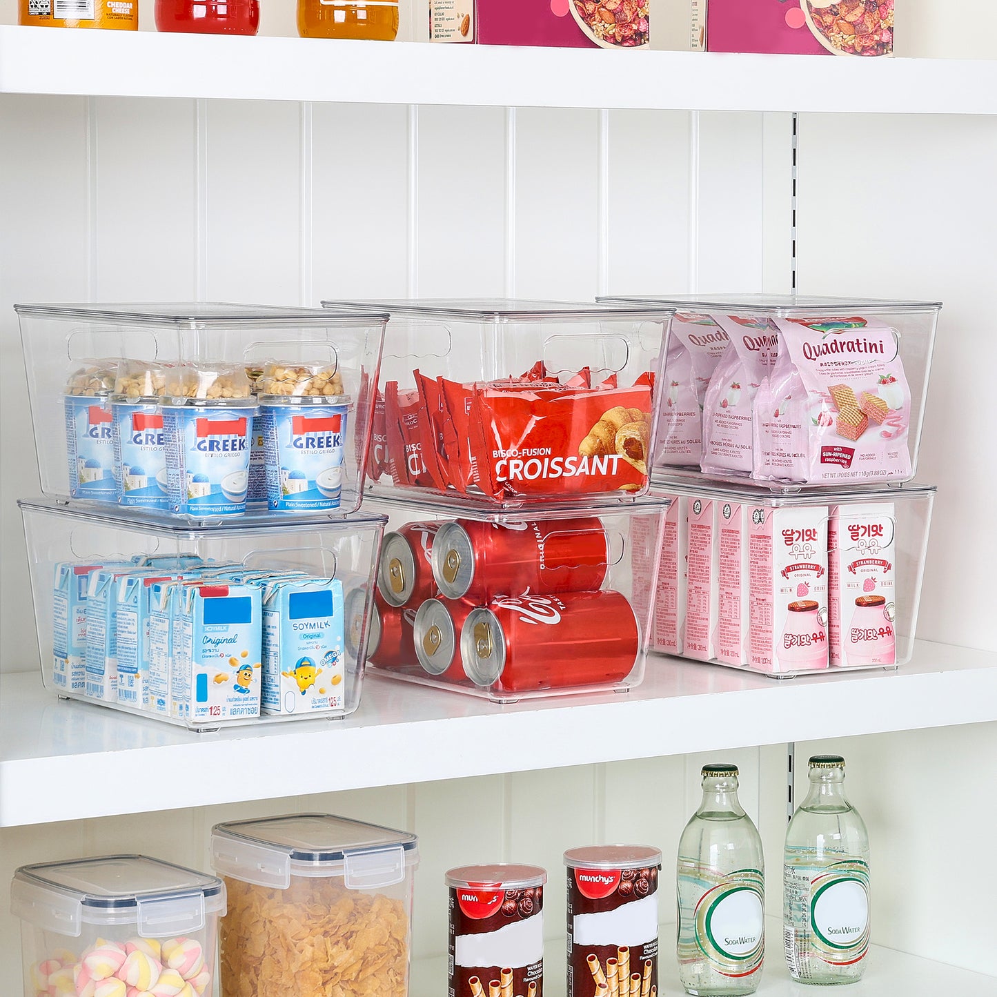 Sindcom 6 Pack Clear Plastic Storage Bins with Lids, Pantry Organizer, for Cabinet, Kitchen, Medium